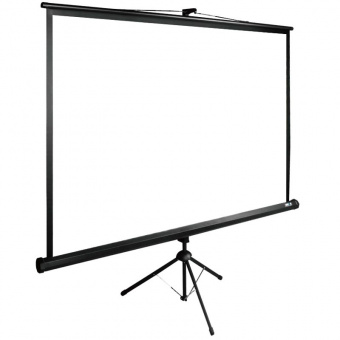 Экран Cactus 220x220см TriExpert CS-PSTE-220x220-BK 1:1 напольный рулонный черный - купить недорого с доставкой в интернет-магазине