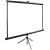 Экран Cactus 220x220см TriExpert CS-PSTE-220x220-BK 1:1 напольный рулонный черный - купить недорого с доставкой в интернет-магазине