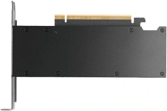 Видеокарта PNY PCI-E 5.0 PRO2000 NVIDIA PRO2000 16Gb 128bit GDDR7 982 mDPx4 Ret - купить недорого с доставкой в интернет-магазине