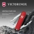 Нож перочинный Victorinox Rally (0.6163) 58мм 9функц. красный карт.коробка - купить недорого с доставкой в интернет-магазине