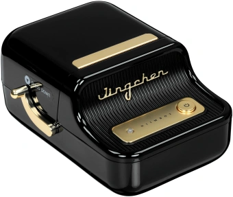 Термопринтер Niimbot B21S (1746727) 203dpi 60мм/с/USB/BT для печ.этик. черный - купить недорого с доставкой в интернет-магазине