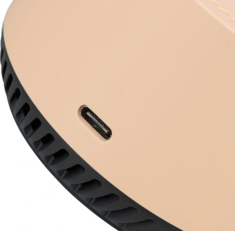 Умная колонка Yandex Станция Лайт Алиса бежевый 5W 1.0 BT 10м (YNDX-00025B) - купить недорого с доставкой в интернет-магазине