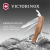 Нож перочинный Victorinox RangerWood 55 (0.9561.63) 130мм 10функц. дерево карт.коробка - цена, купить или заказать с доставкой в интернет-магазине Нож перочинный Victorinox RangerWood 55 (0.9561.63) 130мм 10функц. дерево карт.коробка - купить недорого с доставкой в интернет-магазине