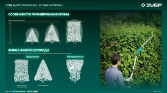 Кусторез Зубр КРА-2051аккум. - купить недорого с доставкой в интернет-магазине