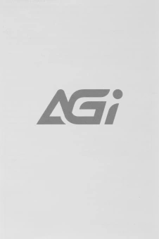 Накопитель SSD AGi PCIe 3.0 x4 512GB AGI512GIMAI298-CB AI298 M.2 2280 - купить недорого с доставкой в интернет-магазине