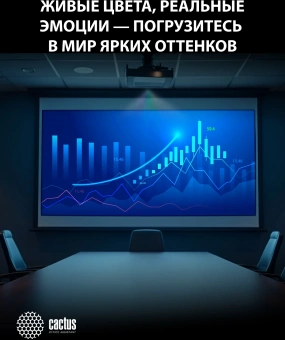 Проектор Cactus Bright CS-S4.WT 3LCD 94400Lm LS 5900Lm ANSI (1920x1200) 30000:1 ресурс лампы:10000часов 1xUSB typeA 1xUSB typeB 2xHDMI 4.45кг - купить недорого с доставкой в интернет-магазине