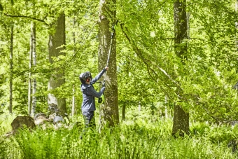 Высоторез Greenworks GD60PST25аккум. (1402107) - купить недорого с доставкой в интернет-магазине