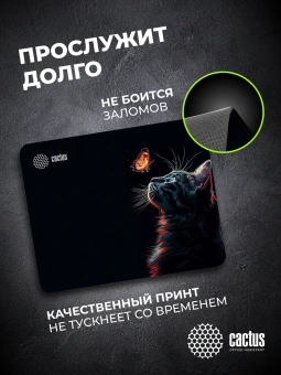 Коврик для мыши Cactus Night Cat 220x180x2мм (CS-MPC-P12XS) - купить недорого с доставкой в интернет-магазине