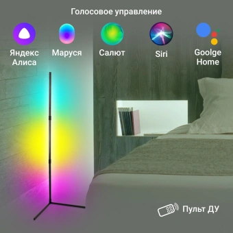 Умный светильник Digma FloorLight FL11 напол. черный (FL11) - купить недорого с доставкой в интернет-магазине