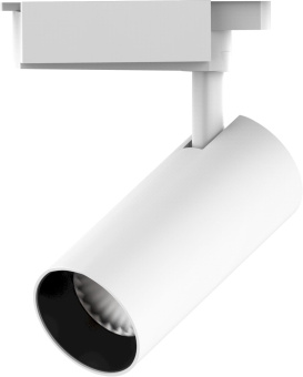 Светильник Gauss TR070 4000K цв.св.:белый нейтральный белый - купить недорого с доставкой в интернет-магазине