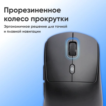 Мышь Оклик 489MW черный оптическая 3200dpi silent беспров. BT/Radio USB 6but (1885440) - купить недорого с доставкой в интернет-магазине