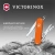 Нож перочинный Victorinox Classic SD Mango Tango (0.6223.83G) 58мм 7функц. подар.коробка - купить недорого с доставкой в интернет-магазине