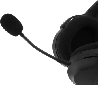 Наушники с микрофоном Razer Barracuda X черный 1.5м мониторные BT/Radio оголовье (RZ04-04430100-R3M1) - купить недорого с доставкой в интернет-магазине