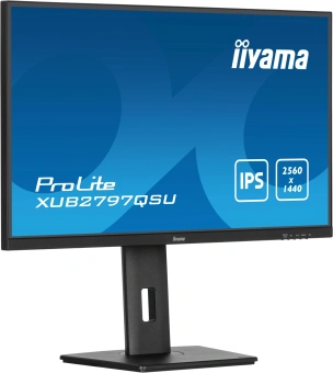 Монитор Iiyama 27" ProLite XUB2797QSU-B2 черный IPS LED 16:9 HDMI M/M матовая HAS Piv 300cd 178гр/178гр 2560x1440 100Hz DP 2K USB 5.7кг - купить недорого с доставкой в интернет-магазине