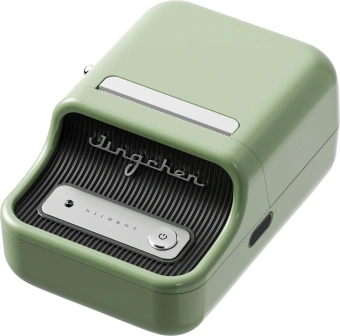 Термопринтер Niimbot B21S (1746725) 203dpi 60мм/с/USB/BT для печ.этик. зеленый - купить недорого с доставкой в интернет-магазине