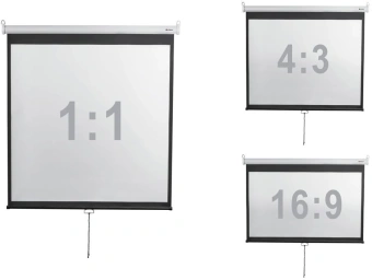 Экран Digis 167" 300x300см Optimal-D DSOD-1108 1:1 настенно-потолочный рулонный - купить недорого с доставкой в интернет-магазине