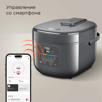 Мультиварка Redmond MC100S 5л 860Вт серый - купить недорого с доставкой в интернет-магазине