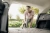 Строительный пылесос Karcher WD 4 S V-20/5/22 1000Вт (уборка: сухая/сбор воды) желтый - купить недорого с доставкой в интернет-магазине