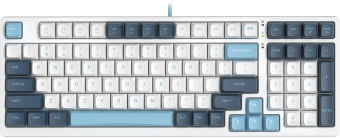 Клавиатура A4Tech Fstyler FS300 механическая белый/синий USB for gamer LED (FS300 PANDA SNOWBOARDING) - цена, купить или заказать с доставкой в интернет-магазине Клавиатура A4Tech Fstyler FS300 механическая белый/синий USB for gamer LED (FS300 PANDA SNOWBOARDING) - купить недорого с доставкой в интернет-магазине