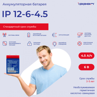 Батарея для ИБП Ippon IP6-4.5 6В 4.5Ач - купить недорого с доставкой в интернет-магазине