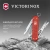 Нож перочинный Victorinox Classic SD Alox LE 2025 Stone Red (0.6221.L25) 58мм 5функц. красный подар.коробка - купить недорого с доставкой в интернет-магазине