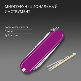 Нож перочинный Victorinox Classic SD Tasty Grape (0.6223.52G) 58мм 7функц. подар.коробка - купить недорого с доставкой в интернет-магазине