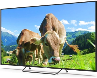 Телевизор LED PolarLine 65" 65PU51TC-SM черный 4K Ultra HD 60Hz DVB-T DVB-T2 DVB-C DVB-S2 USB WiFi Smart TV (RUS) - купить недорого с доставкой в интернет-магазине