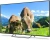 Телевизор LED PolarLine 65" 65PU51TC-SM черный 4K Ultra HD 60Hz DVB-T DVB-T2 DVB-C DVB-S2 USB WiFi Smart TV (RUS) - цена, купить или заказать с доставкой в интернет-магазине Телевизор LED PolarLine 65" 65PU51TC-SM черный 4K Ultra HD 60Hz DVB-T DVB-T2 DVB-C DVB-S2 USB WiFi Smart TV (RUS) - купить недорого с доставкой в интернет-магазине