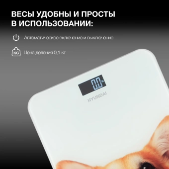 Весы напольные электронные Hyundai H-BS03671 макс.180кг белый - купить недорого с доставкой в интернет-магазине