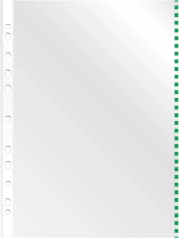 Папка-вкладыш Silwerhof Daily SD-EDGE/GRN глянцевые A4+ полипропилен 30мкм зеленый край (упак.:50шт) - купить недорого с доставкой в интернет-магазине