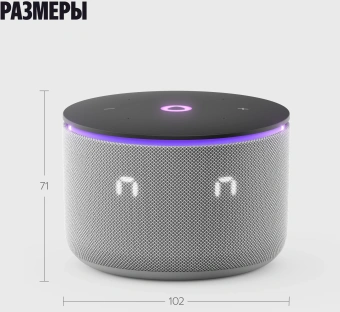 Умная колонка Yandex Станция Мини 3 Про Алиса серый 18W 2.0 BT/Wi-Fi (YNDX-00059GRY) - купить недорого с доставкой в интернет-магазине