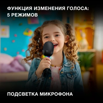 Микрофон беспроводной Hyundai H-MIC101 черный - купить недорого с доставкой в интернет-магазине