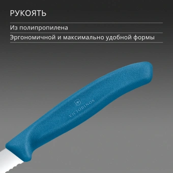 Нож кухонный Victorinox Swiss Classic (6.7632.C1) стальной универсальный для чистки овощей и фруктов лезв.80мм серрейт. заточка синий - купить недорого с доставкой в интернет-магазине