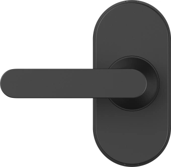 Умный замок Aqara Smart Door Lock U300 накладной разбл.отпеч.паль./код/пар/NFC/прил/мех.кл черный (DL-D02D_BL) - купить недорого с доставкой в интернет-магазине