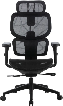 Кресло Cactus CS-MC555-BK черный сетка с подголов. крестов. пластик пластик черный - купить недорого с доставкой в интернет-магазине