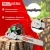 Бензопила RedVerg RD-GC62-20 2500Вт 3.4л.с. дл.шины:20" (50cm) - купить недорого с доставкой в интернет-магазине