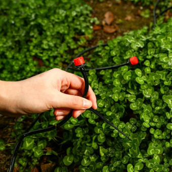 Дождеватель Deko DKI1 3/16" (в комп.:40 предметов) красный черный (065-0895) - купить недорого с доставкой в интернет-магазине