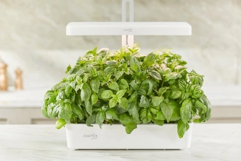 Кашпо Cactus Garden CS-LEDPOT-10 2.0л белый - купить недорого с доставкой в интернет-магазине