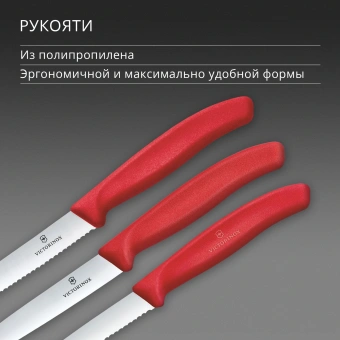 Набор ножей кухон. Victorinox Swiss Classic 6.7111.34C1 для овощей компл.:3предм. красный европодвес - купить недорого с доставкой в интернет-магазине