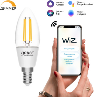 Умная лампа Gauss Smart Home C35 E14 4.5Вт 495lm (1230112) - купить недорого с доставкой в интернет-магазине