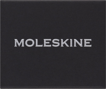 Шильд-символ Moleskine Zodiac Скорпион металл серебристый коробка с европод. PINSCORPIOSILV - купить недорого с доставкой в интернет-магазине