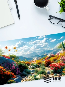Коврик для мыши Cactus Desert landscape 900x400x3мм (CS-MP-PRO15XXL) - купить недорого с доставкой в интернет-магазине
