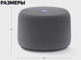 Умная колонка Yandex Станция Лайт 2 без часов Алиса графитовый 6W 1.0 BT/Wi-Fi 10м (YNDX-00028GRY) - купить недорого с доставкой в интернет-магазине