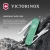Нож перочинный Victorinox Classic SD Alox Minty Mint (0.6221.221G) 58мм 5функц. подар.коробка - купить недорого с доставкой в интернет-магазине