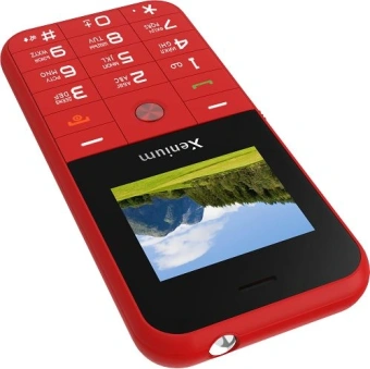 Мобильный телефон Xenium X718 красный моноблок 2Sim 1.77" 128x160 Spreadtrum ThreadX RTOS 0.3Mpix GSM900/1800 MP3 - купить недорого с доставкой в интернет-магазине