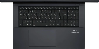 Ноутбук Osio CyberLine C170i-002 Core i5 12600H 16Gb SSD512Gb NVIDIA GeForce RTX4050 6Gb 17.3" IPS FHD (1920x1080) без ОС dk.grey WiFi BT Cam 3410mAh - купить недорого с доставкой в интернет-магазине