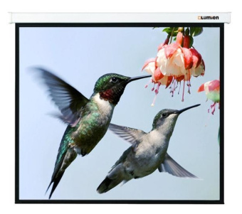 Экран Lumien 202x280см Master Picture LMP-100117 16:9 настенно-потолочный рулонный - купить недорого с доставкой в интернет-магазине