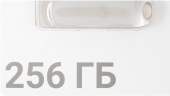 Флеш Диск Digma 256GB DRIVE3 DGFUM256A30SR USB3.0 серебристый - купить недорого с доставкой в интернет-магазине