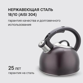 Чайник металлический Rondell Tierno RDS-1900 2.9л. фиолетовый - купить недорого с доставкой в интернет-магазине
