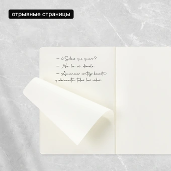 Блокнот Moleskine CAHIER JOURNAL CH023B44 XLarge 190х250мм обложка картон 120стр. нелинованный голубой (3шт) - купить недорого с доставкой в интернет-магазине